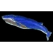 WHALE PINS BLUE WHALE PIN